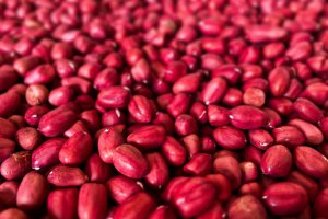 Manfaat Kacang Merah yang Menyehatkan Tubuh