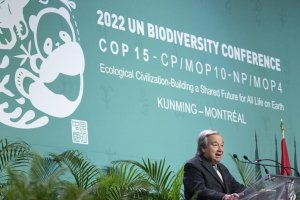 Sekjend PBB Antonio Guterres di COP15 di Kanada