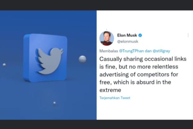 Pernyataan Elin Musk di Twitter