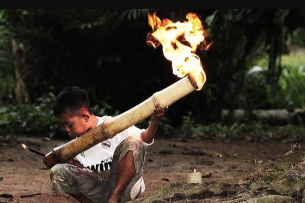 Tradisi Meriam Bambu di Flores