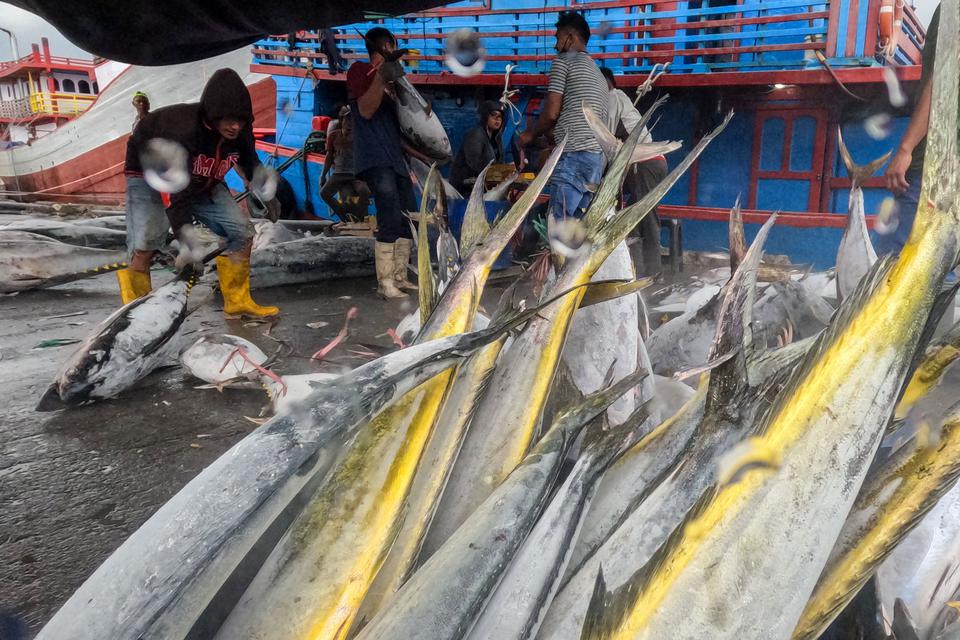Pekerja memindahkan ikan tuna hasil tangkapan nelayan dari kapal di Pelabuhan Muara Baru, Jakarta, Rabu (28/12/2022). 