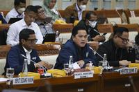 RAPAT KERJA KOMISI VI BERSAMA MENTERI BUMN