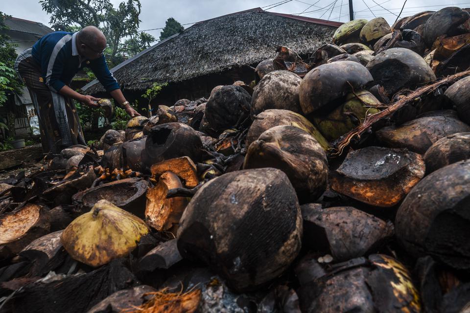 limbah kelapa, bioenergi, bioavtur, bahan bakar nabati, energi bersih