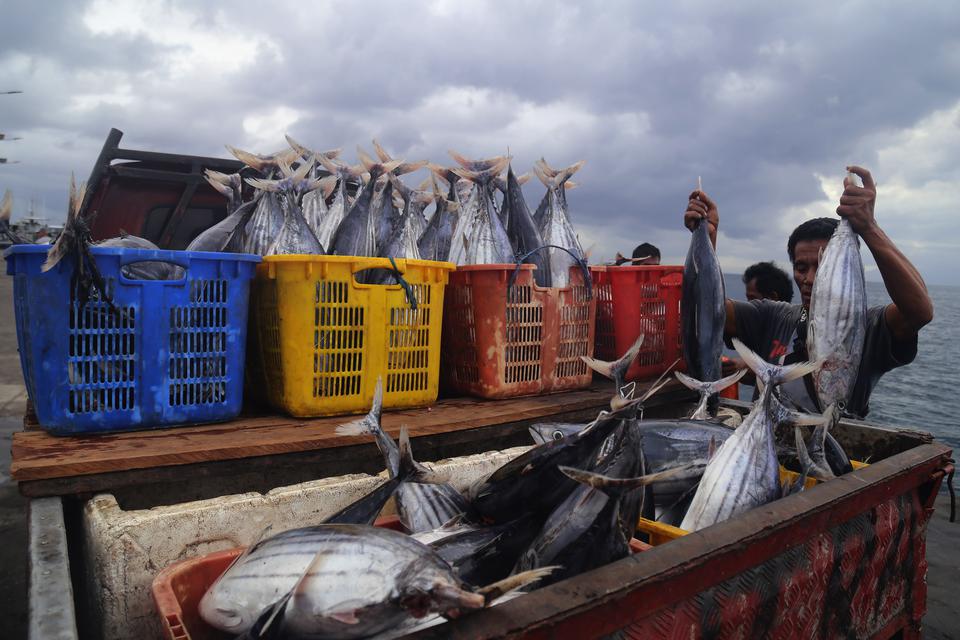Pekerja memindahkan ikan cakalang hasil tangkapan nelayan dari kapal di Pelabuhan Perikanan Nusantara Ternate, Maluku Utara, Rabu (15/2/2023). Menteri Kelautan dan Perikanan menargetkan ekspor hasil perikanan Indonesia tahun 2023 bisa mencapai 7,66 miliar