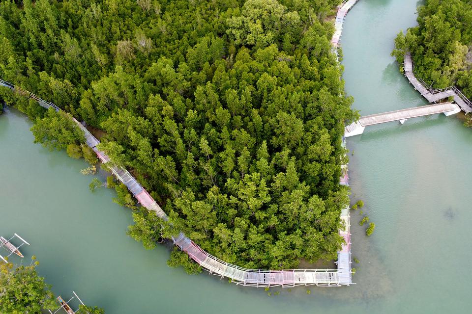 Foto udara wisata mangrove di kawasan Pantai Pohon Cinta di Marisa, Kabupaten Pohuwato, Gorontalo, Kamis (16/2/2023). 