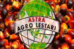 PT Astra Agro Lestari Tbk (AALI) 