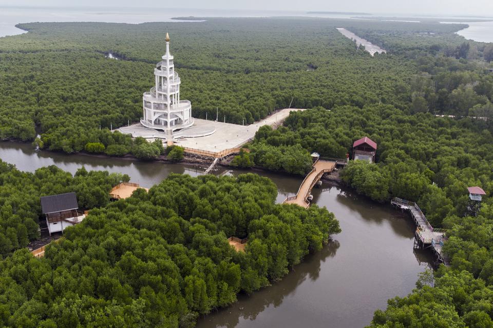 Foto udara memperlihatkan menara dan jembatan di tengah hamparan hutan mangrove Kuala Langsa di Kota Langsa, Aceh, Jumat (24/2/2022). Hutan Mangrove Kuala Langsa dengan luas 8.000 hektare menjadi salah satu ikon kota langsa sebagai daya tarik ekowisata, k
