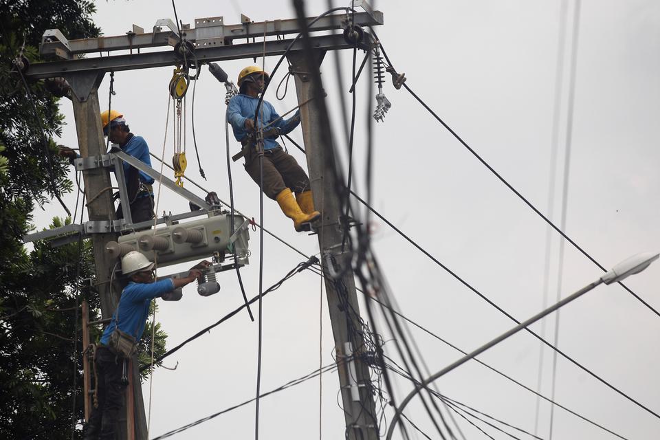 PLN