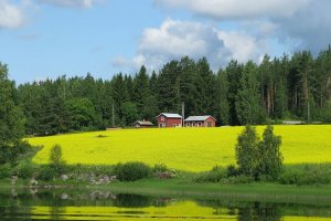 Ilustrasi, pemandangan alam Finlandia.