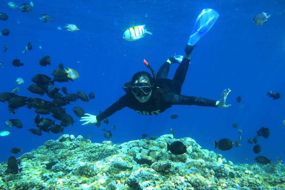 Pengunjung menikmati objek wisata Taman Laut Olele, Kabupaten Bone Bolango, Gorontalo, Minggu (12/3/2023). Taman Laut Olele menjadi salah satu destinasi wisata bahari unggulan Provinsi Gorontalo yang memiliki hamparan terumbu karang yang sehat dengan bera