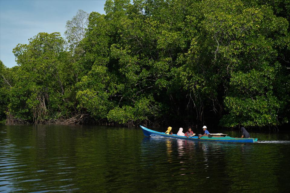 Warga naik perahu melintasi sungai di kawasan hutan mangrove, Kecamatan Kulisusu Barat, Buton Utara, Sulawesi Tenggara, Minggu (19/3/2023). Sebagian warga dari sejumlah desa di Kecamatan Kulisusu Barat dan Bunegunu masih menggunakan perahu melalui sungai 
