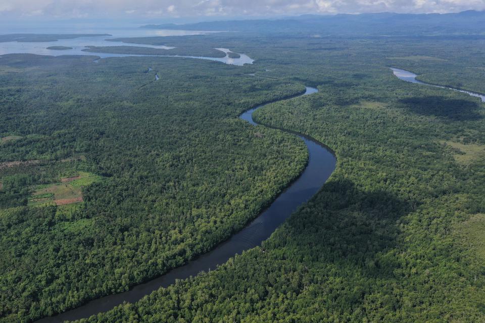 Foto udara kawasan hutan mangrove di Buton Utara, Sulawesi Tenggara, Minggu (19/3/2023). Luas hutan mangrove di wilayah tersebut sekitar 17 ribu hektare dengan berbagai satwa liar seperti kera sulawesi, buaya, dan berbagai jenis burung.