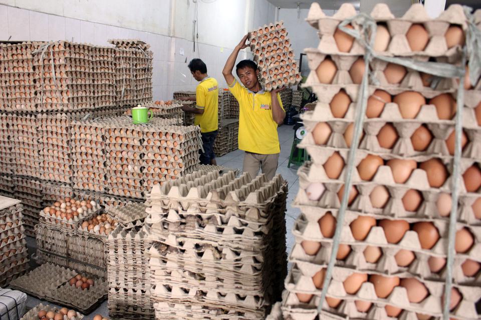 Pekerja mengangkat kemasan berisi telur ayam di salah satu toko di Kota Medan, Sumatera Utara, Selasa (21/3/2023). 