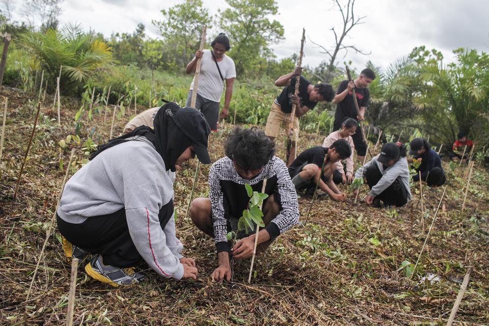 gambut, lahan gambut, perdagangan karbon