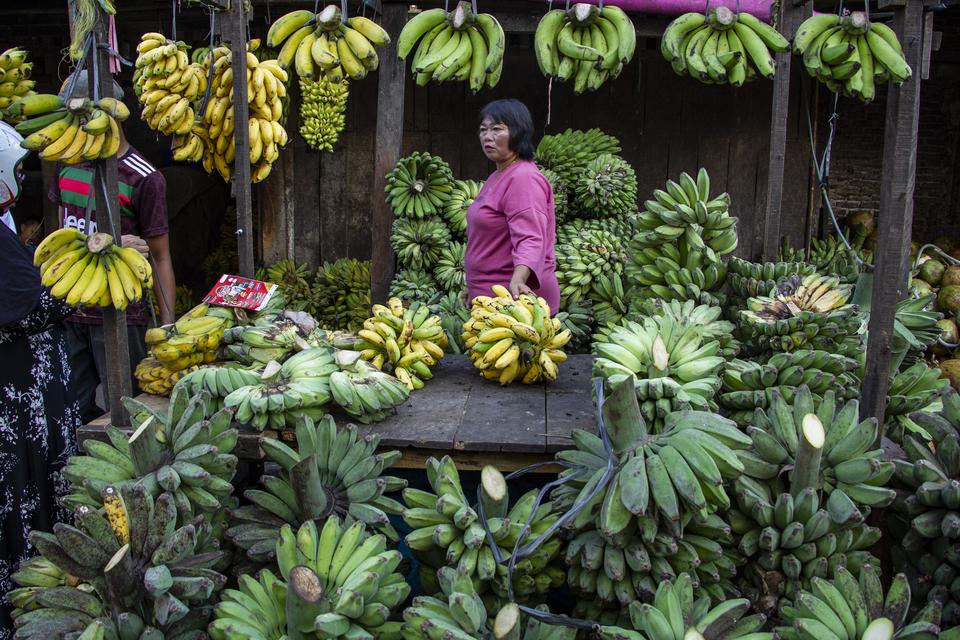Harga pisang akan menjadi lebih mahal karena perubahan iklim. 