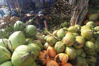 PERMINTAAN KELAPA MUDA MENINGKAT SAAT RAMADHAN