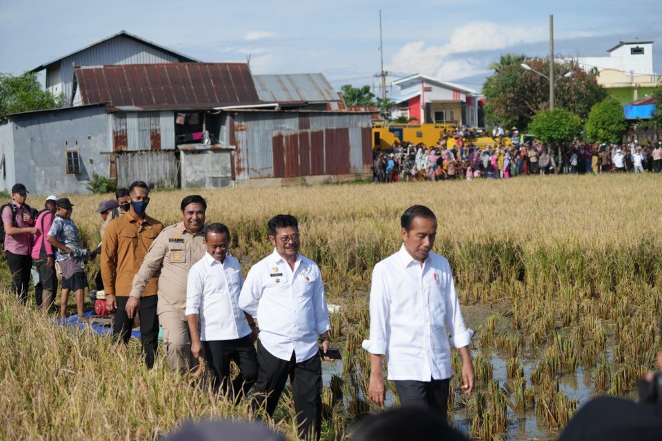 Presiden Joko Widodo meninjau panen raya di Kelurahan Baji Pamai, Kecamatan Maros Kota, Kabupaten Maros, Sulawesi Selatan, Kamis (30/3).