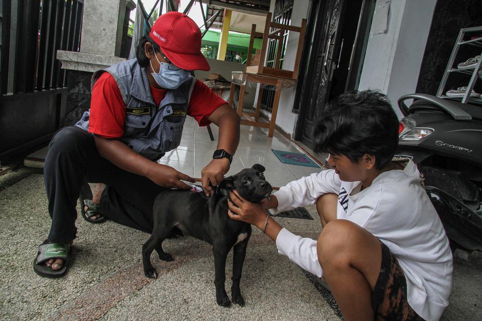 Relawan vaksinator hewan menyuntikkan vaksin anti rabies pada seekor anjing saat program layanan vaksinasi rabies gratis di Jalan Pisces, Palangka Raya, Kalimantan Tengah, Sabtu (1/4/2023). Kegiatan vaksinasi rabies gratis secara rutin dari rumah ke rumah