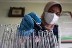 UJI LABORATORIUM BAHAN MAKANAN BERBAHAYA
