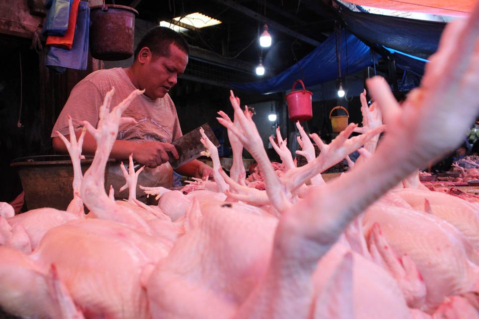 Pedagang memotong ayam pesanan pembeli di Pasar Sei Sikambing Medan, Kota Medan, Sumatera Utara, Selasa (11/4/2023). 