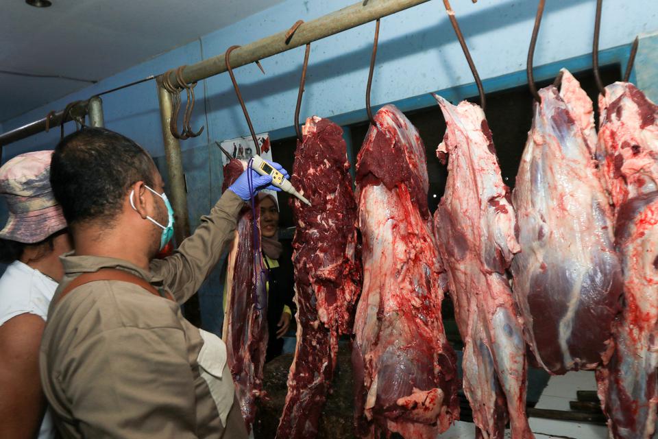 Petugas Dinas Pertanian dan Pangan Banyuwangi memeriksa kadar air pada daging yang dijual di Pasar Blambangan, Banyuwangi, Jawa Timur, Senin (17/4/2023). 