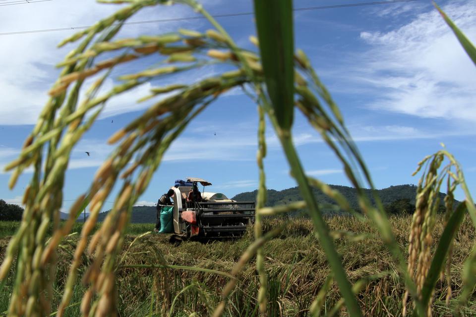 Buruh tani memanen padi menggunakan alat mesin pertanian (alsintan) di area persawahan Patallassang, Kabupaten Gowa, Sulawesi Selatan, Kamis (11/5/2023). Badan Koordinasi Penanaman Modal (BKPM) mencatat kebutuhan investasi hilirisasi sektor pertanian dan 