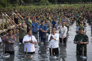 Presiden Jokowi hadiri Puncak Penanaman Mangrove Nasional