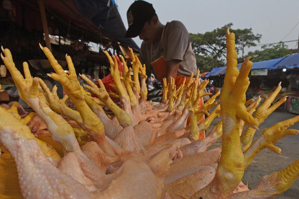 Pedagang membersihkan daging ayam di Pasar Induk Rau Kota Serang, Banten, Jumat (19/5/2023). Menurut pedagang, harga daging ayam broiler naik sejak tiga hari lalu dari Rp33 ribu menjadi Rp38 ribu per kilogram akibat naiknya permintaan sementara pasokan ti
