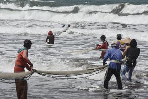 Target penyerapan ikan hasil tangkapan nelayan