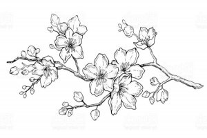 Contoh gambar bunga