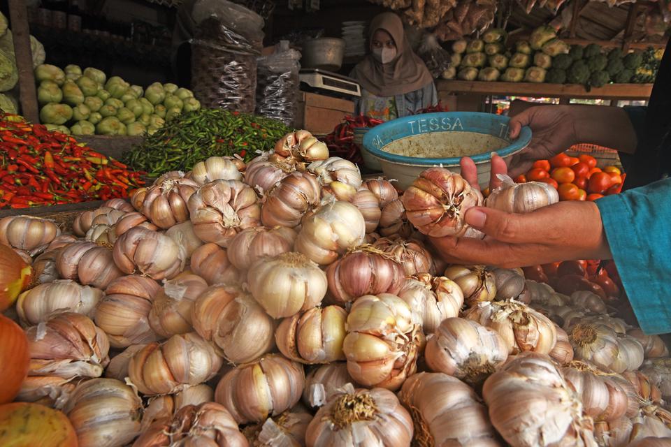 bawang putih, impor bawang putih