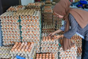Kenaikan harga telur ayam di Medan