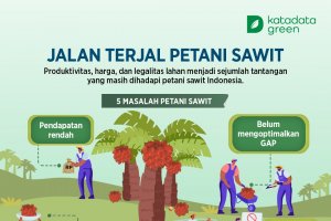 Jalan Terjal Petani Sawit