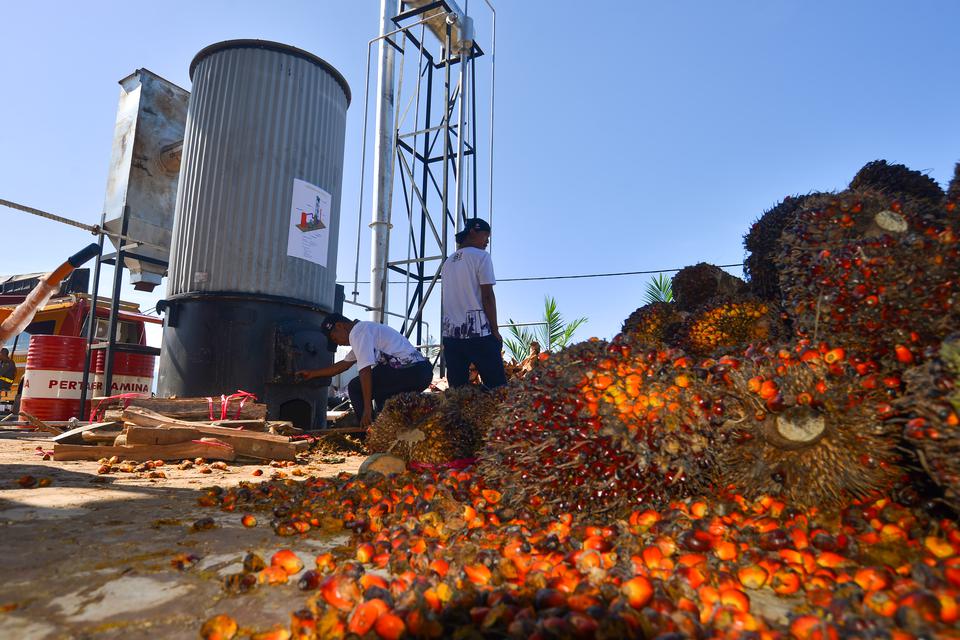 Petugas mengoperasikan mesin uap pabrik mini minyak goreng (Pamigo) saat pameran Pekan Nasional Kontak Tani Nelayan (Penas-KTNA) XVI, di Lanud Sutan Sjahrir Padang, Sumatera Barat, Minggu (11/6/2023). Pamigo merupakan teknologi dengan inovasi yang menghad