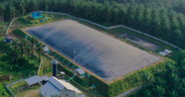 Saham: BWPT - PT. Eagle High Plantations Tbk. | Stockbit