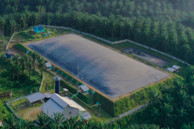 PT Eagle High Plantations Tbk 