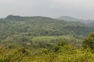 Percepatan penetapan hutan adat