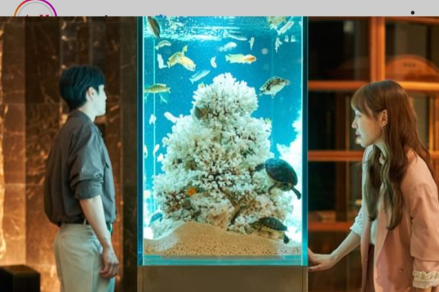 Drama See You In My 19th Life