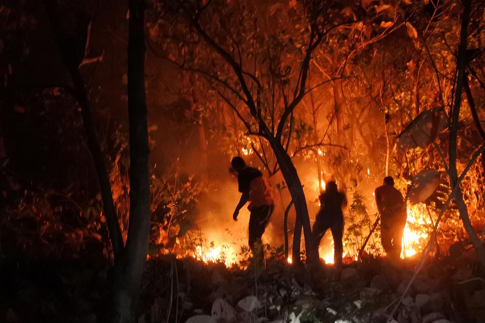 Petugas BPBD dan Tagana memadamkan api di hutan jati Petak 55 E milik Perhutani, Desa Bugeman, Kendit, Situbondo, Jawa Timur, Rabu (14/6/2023) malam. 