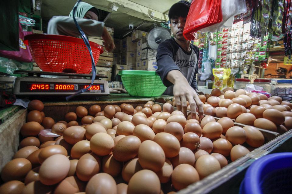 Pedagang telur melayani pembeli di Pasar Cibinong, Kabupaten Bogor, Jawa Barat, Kamis (15/6/2023). Kementerian Perdagangan berupaya untuk menekan harga telur sesuai dengan Harga Acuan Pembelian (HAP) Rp27.000 per kilogram.