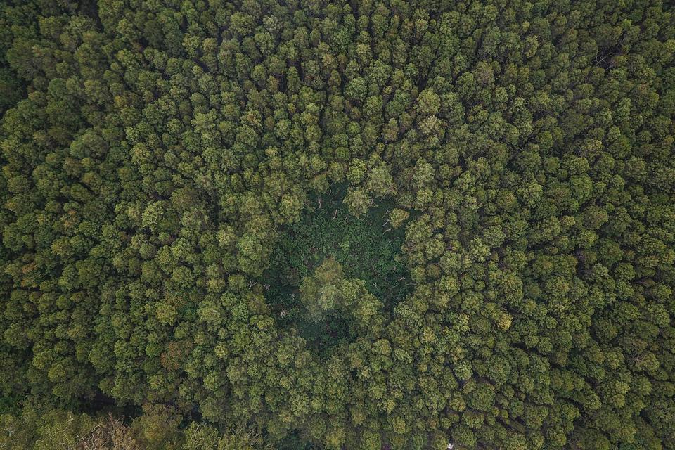 Foto udara kawasan hutan lindung Jayagiri di Lembang, Kabupaten Bandung Barat, Jawa Barat, Jumat (16/62023). 
