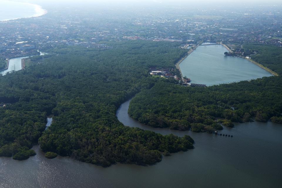 Foto aerial kawasan mangrove Taman Hutan Rakyat (Tahura) Ngurah Rai, Bali, Jumat (23/6/2023). Berdasarkan data Kementerian Lingkungan Hidup dan Kehutanan, luas lahan mangrove di Provinsi Bali mencapai 2.143,97 hektare dengan 19 hektare di antaranya termas