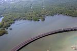 Luas lahan mangrove di Bali