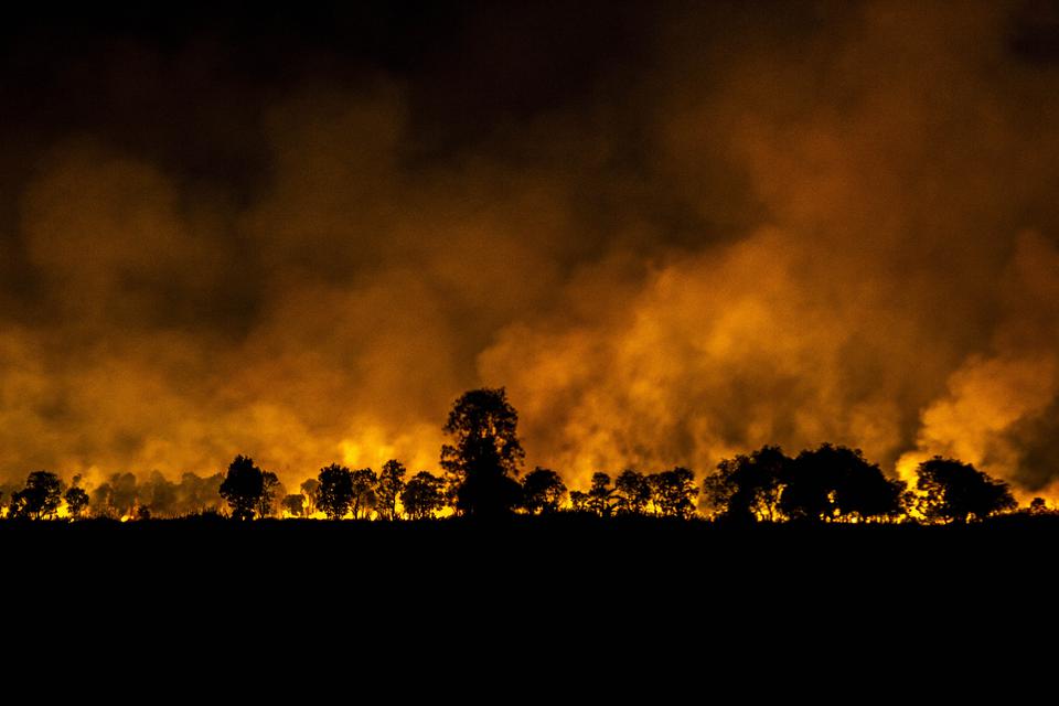 Api membakar hutan dan lahan di Kecamatan Landasan Ulin, Banjarbaru, Kalimantan Selatan, Sabtu (24/6/2023). Berdasarkan data sementara Pusat Pengendalian Operasi Penanggulangan Bencana (Pusdalops-PB) Badan Penanggulangan Bencana Daerah (BPBD) Provinsi Kal