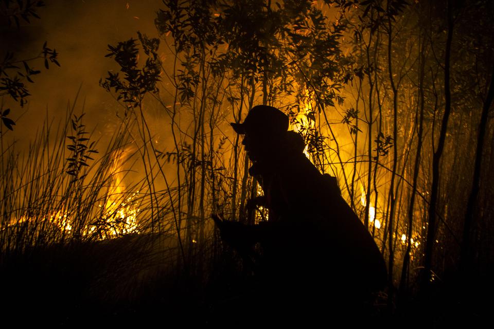 Petugas Manggala Agni Daops Kalimantan VI berusaha memadamkan kebakaran lahan di Kecamatan Liang Anggang, Banjarbaru, Kalimantan Selatan, Minggu (25/6/2023). 