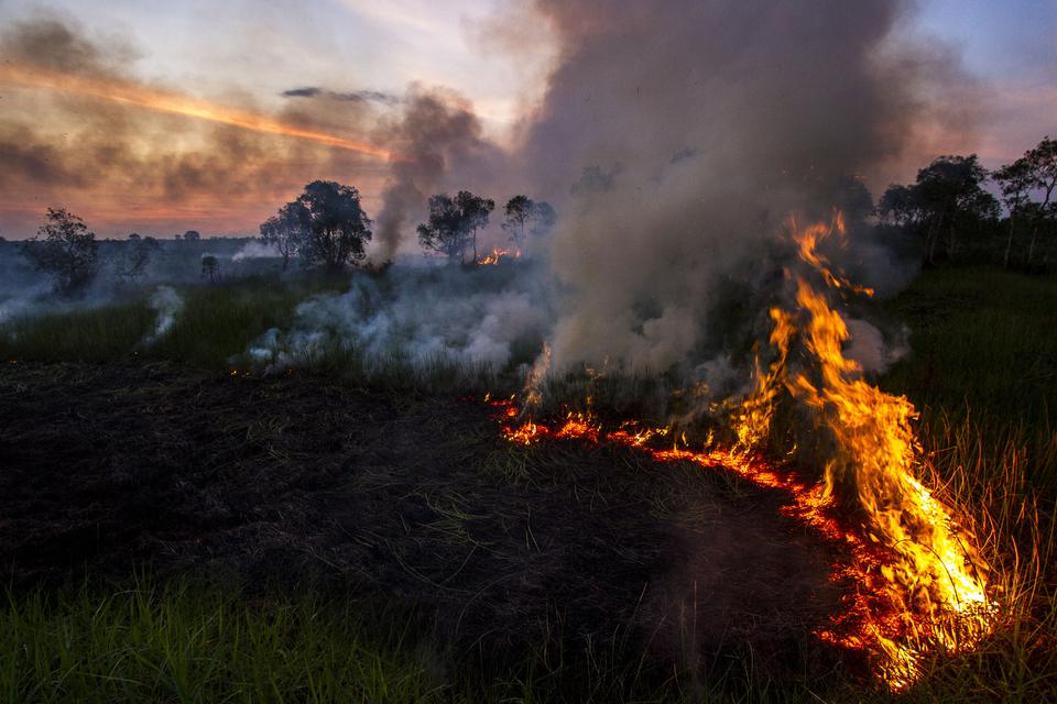 Api membakar hutan dan lahan di Kecamatan Landasan Ulin, Banjarbaru, Kalisel, Selasa (27/6/2023). Berdasarkan data sementara Pusat Pengendalian Operasi Penanggulangan Bencana (Pusdalops-PB) Badan Penanggulangan Bencana Daerah (BPBD) pada Selasa (27/6) lu