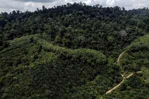 Suku Pemburu dan Peramu Terakhir di Kalimantan