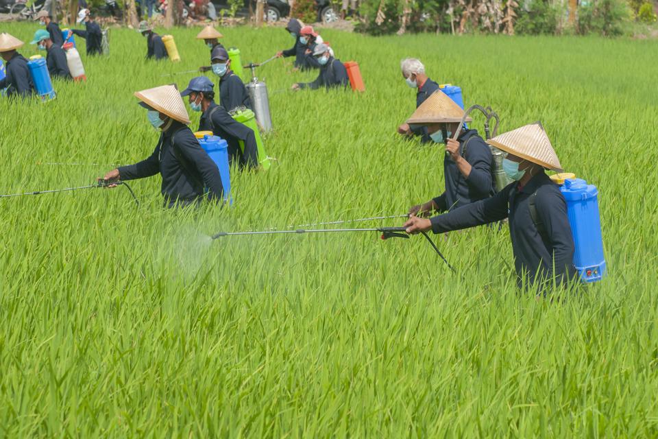 Jokowi Beri Apresiasi ke Para Petani Atas Keberhasilan Jaga Stok Beras