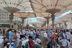 Shalat Jumat di Masjid Nabawi