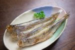 Manfaat ikan shisamo